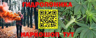 мет Кинель
