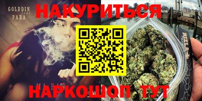 шишки Кингисепп