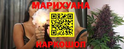 шишки Кингисепп