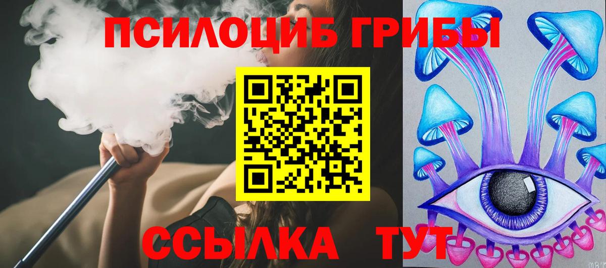 Дмитров  Псилоцибиновые грибы GOLDEN TEACHER  Вход с VPN 